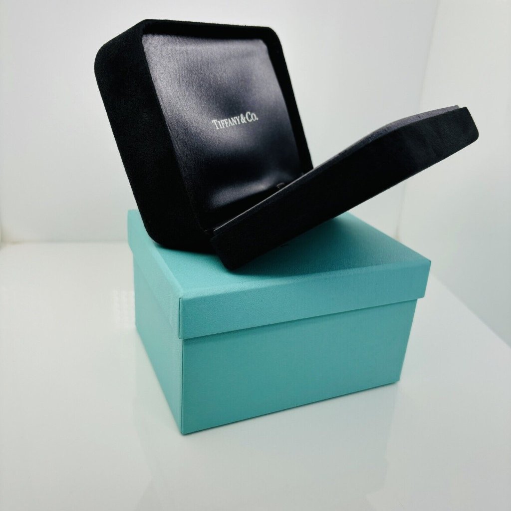 Tiffany Large Necklace Storage Gift Presentation Black Suede Leather Blue Box